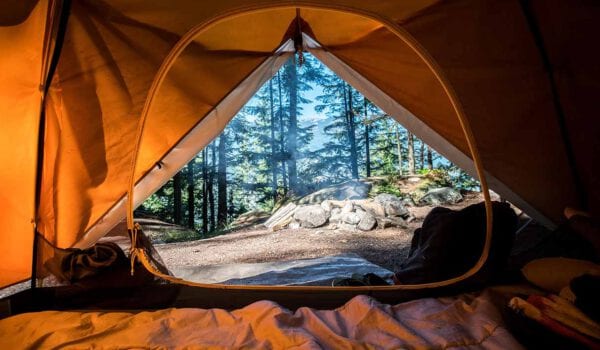View from inside a tent in nature. Image.